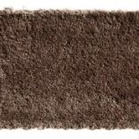 Bold Indulgence carpet - 049